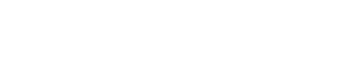 Strategic Security Services